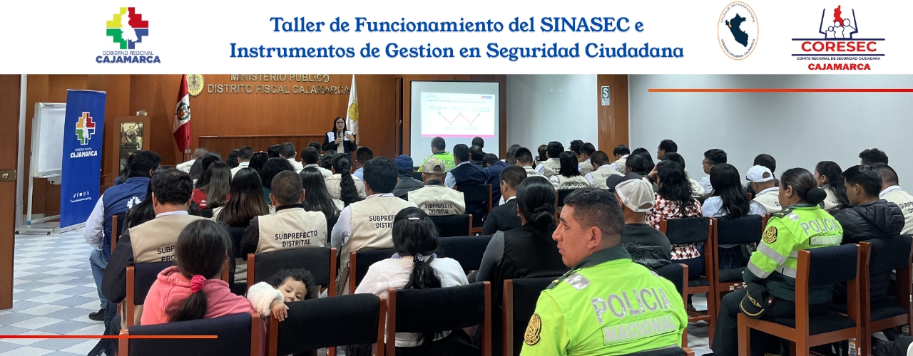TALLER DE FUNCIONAMIENTO DEL SISTEMA NACIONAL DE SEGURIDAD CIUDADANA