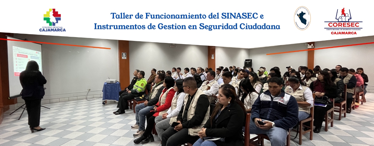 TALLER DE FUNCIONAMIENTO DEL SISTEMA NACIONAL DE SEGURIDAD CIUDADANA